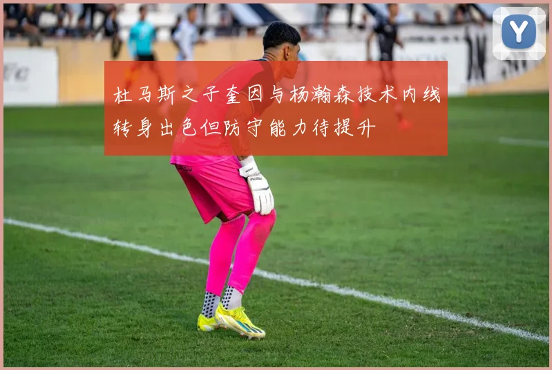 杜马斯之子奎因与杨瀚森技术内线转身出色但防守能力待提升