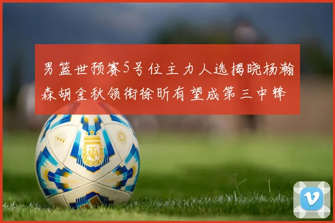 男篮世预赛5号位主力人选揭晓杨瀚森胡金秋领衔徐昕有望成第三中锋