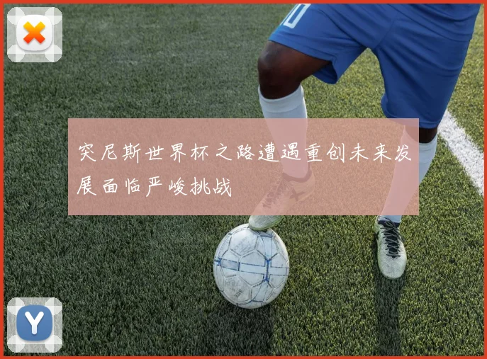 突尼斯世界杯之路遭遇重创未来发展面临严峻挑战